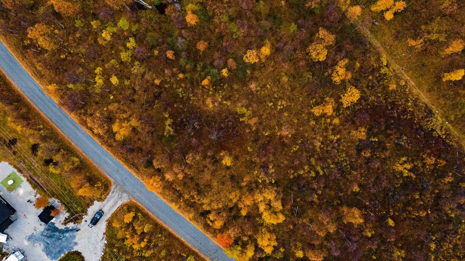 Rett ovenfra Galleribilde