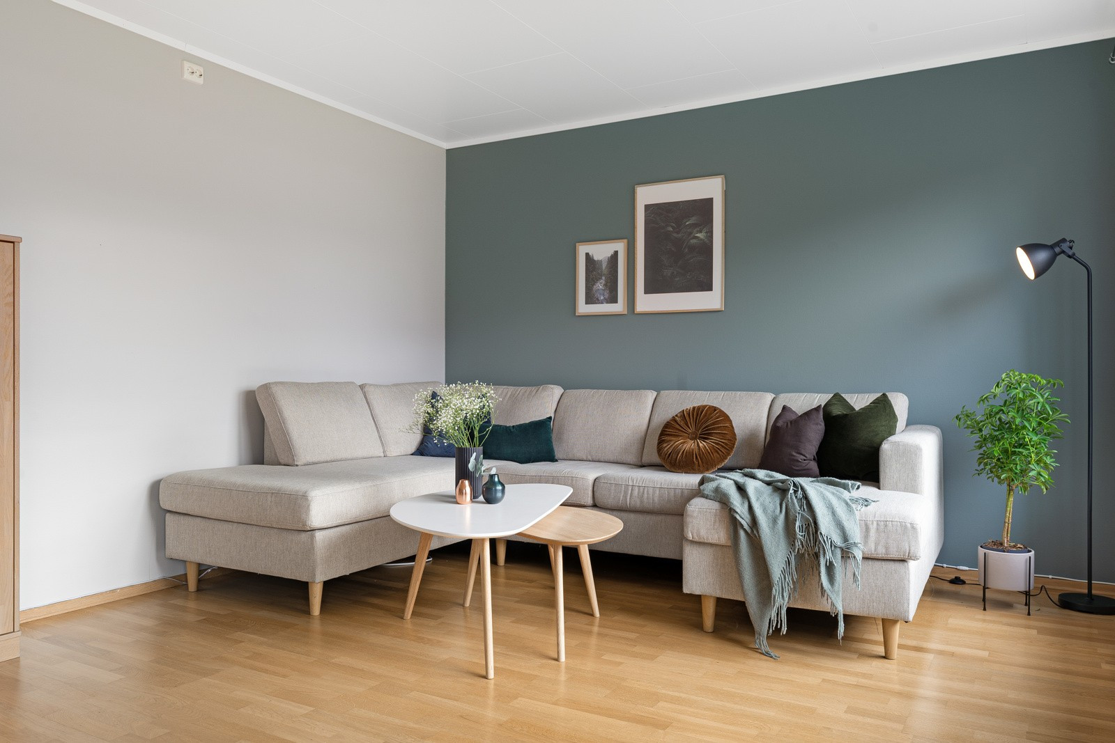 I stuen får du god plass til sofa med tilhørende møblement.