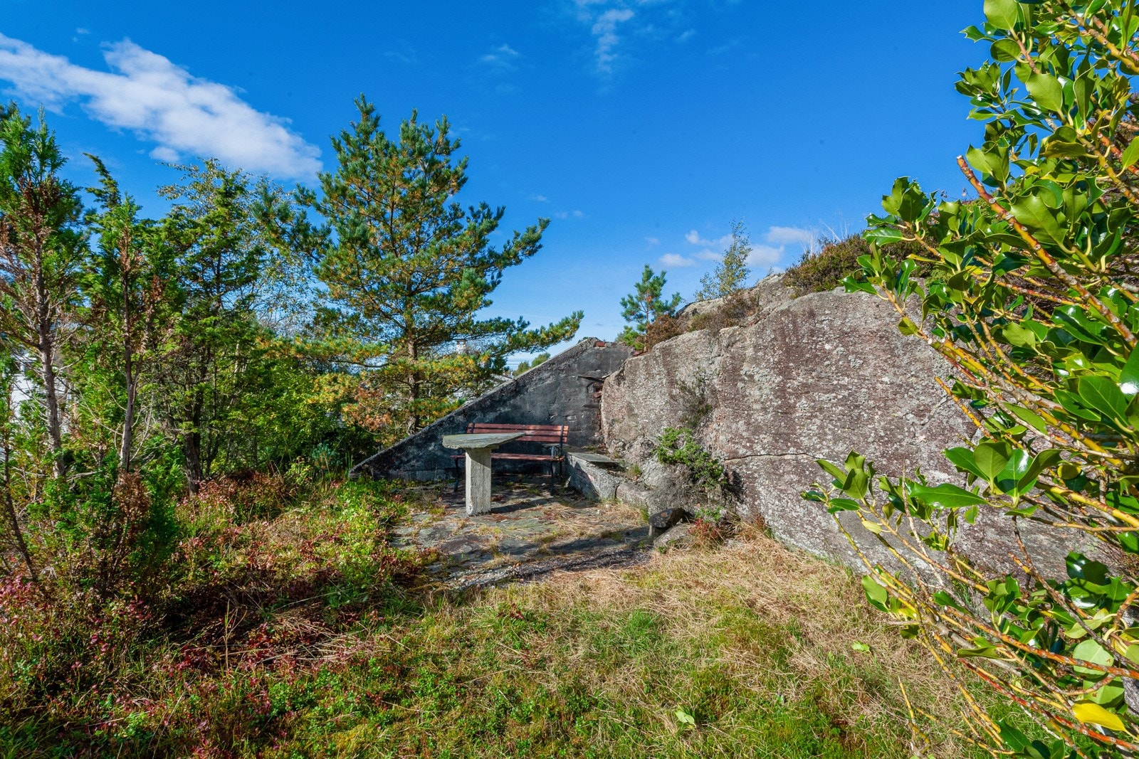Bildet viser deler av eiendommen som i hovedsak er bestående av naturtomt. Galleribilde