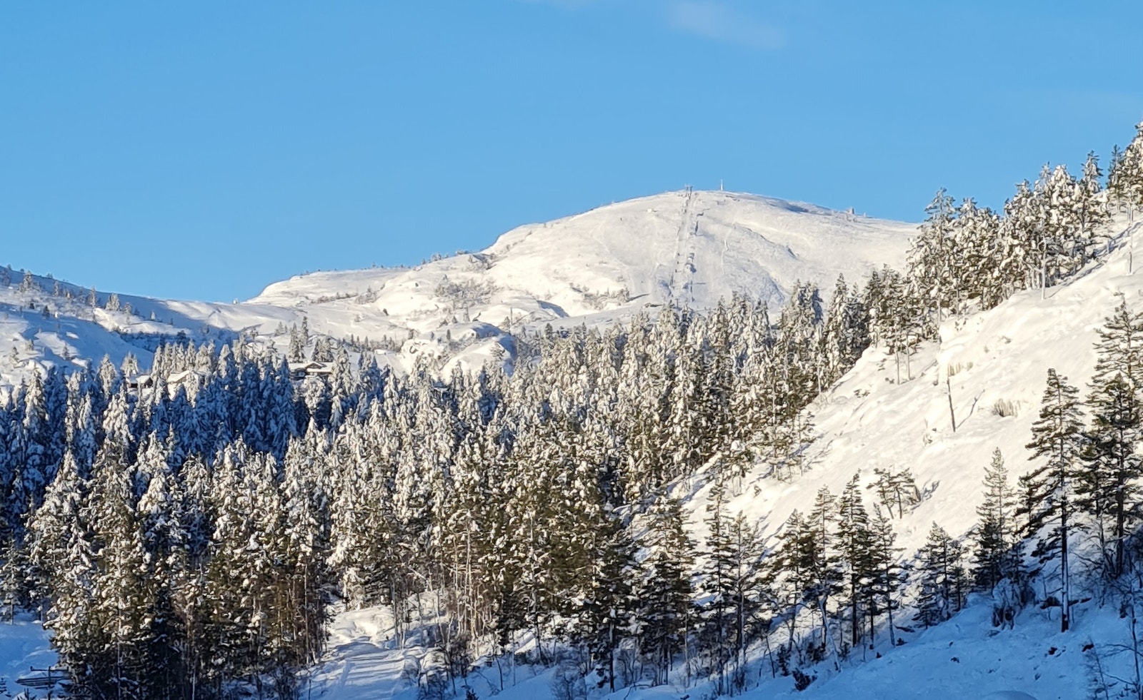 Gode snøforhold. Alpinbakken i bakgrunn. Galleribilde