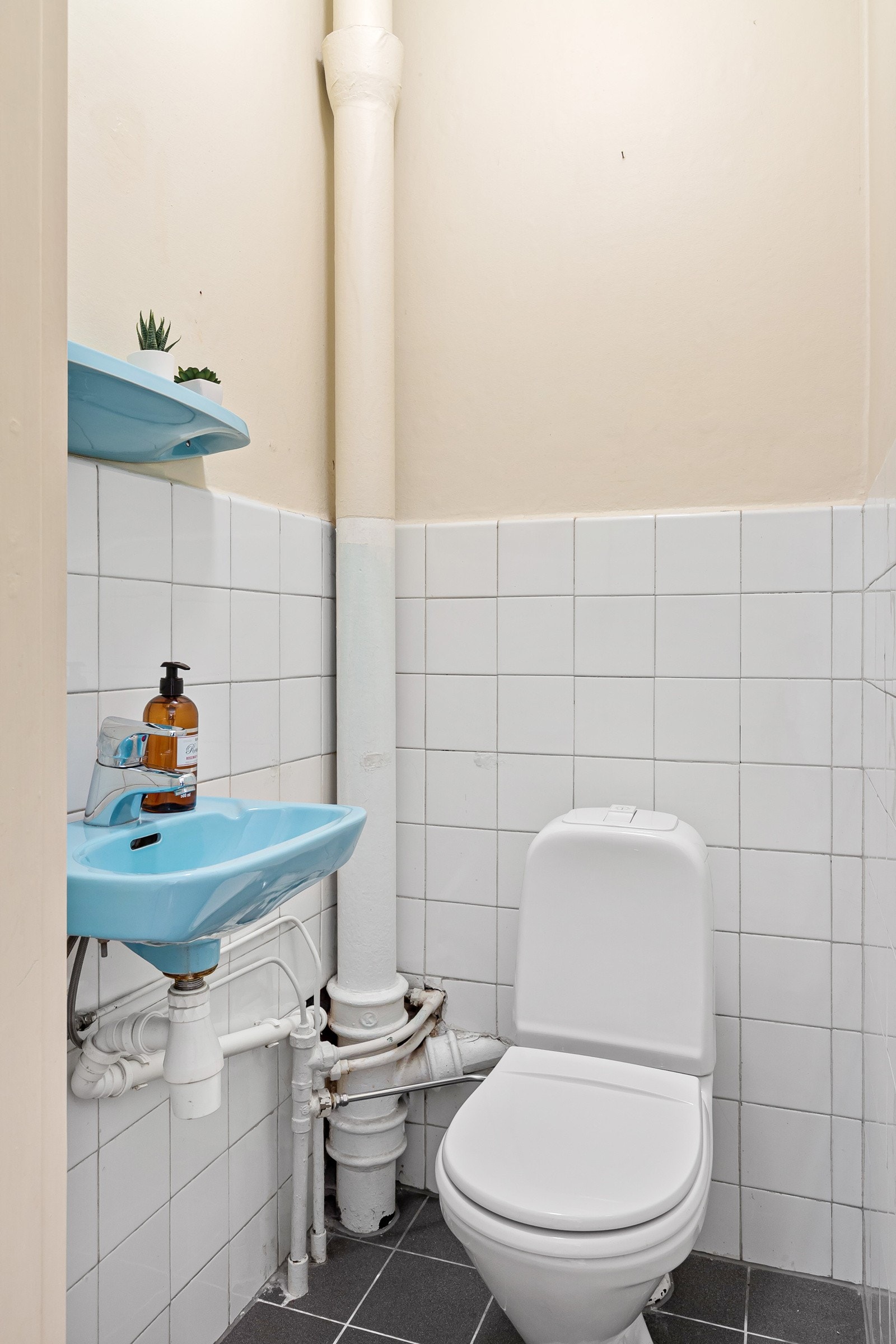 Separat toalett Galleribilde