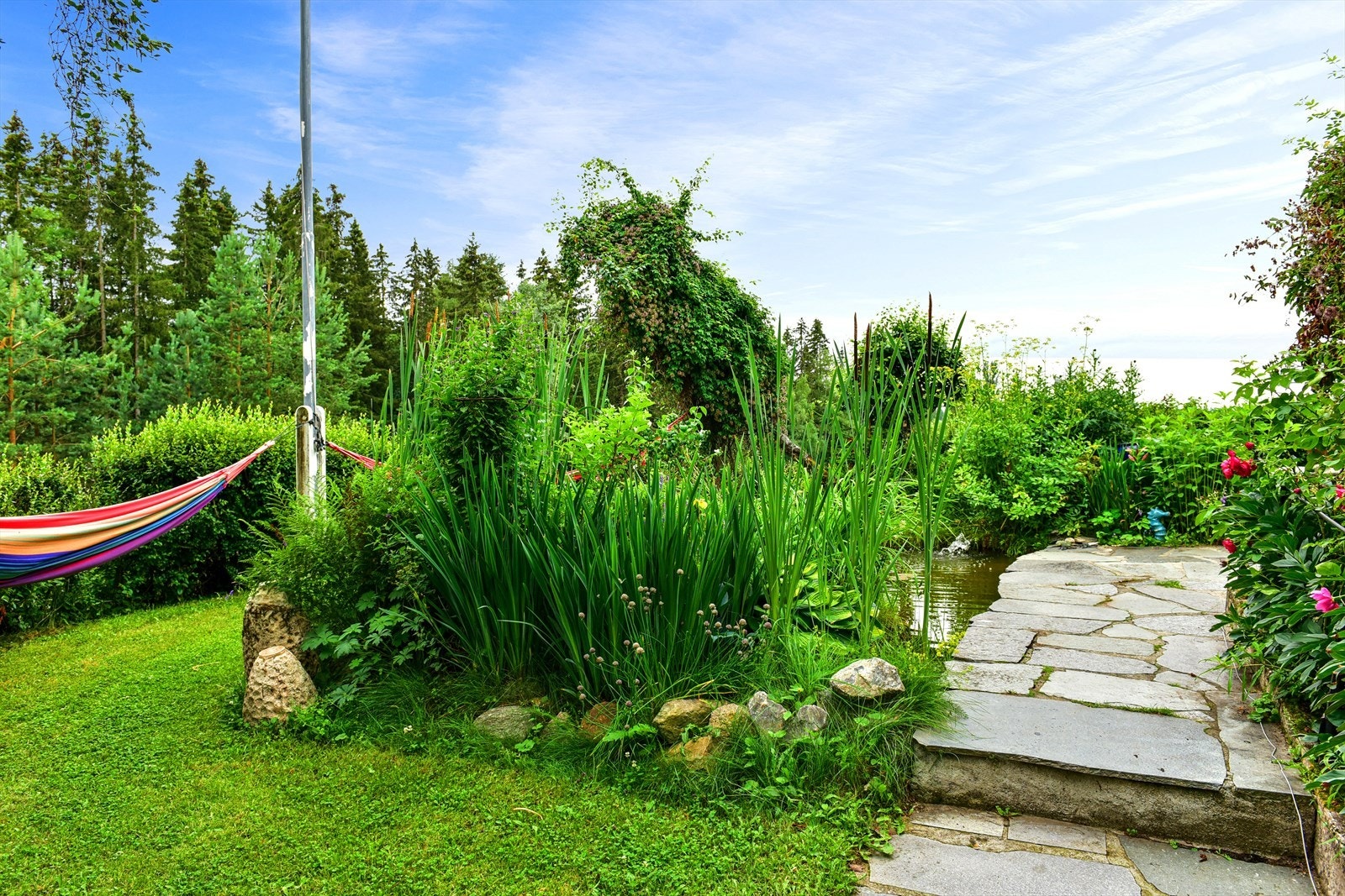 DSC9998 Galleribilde