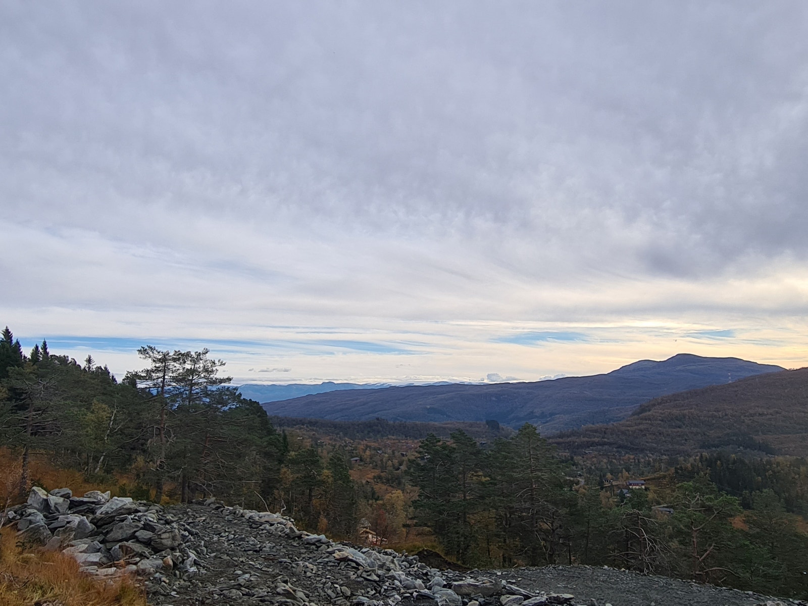 Flott utsikt over over Kvamskogen og Longvovatnet. Galleribilde