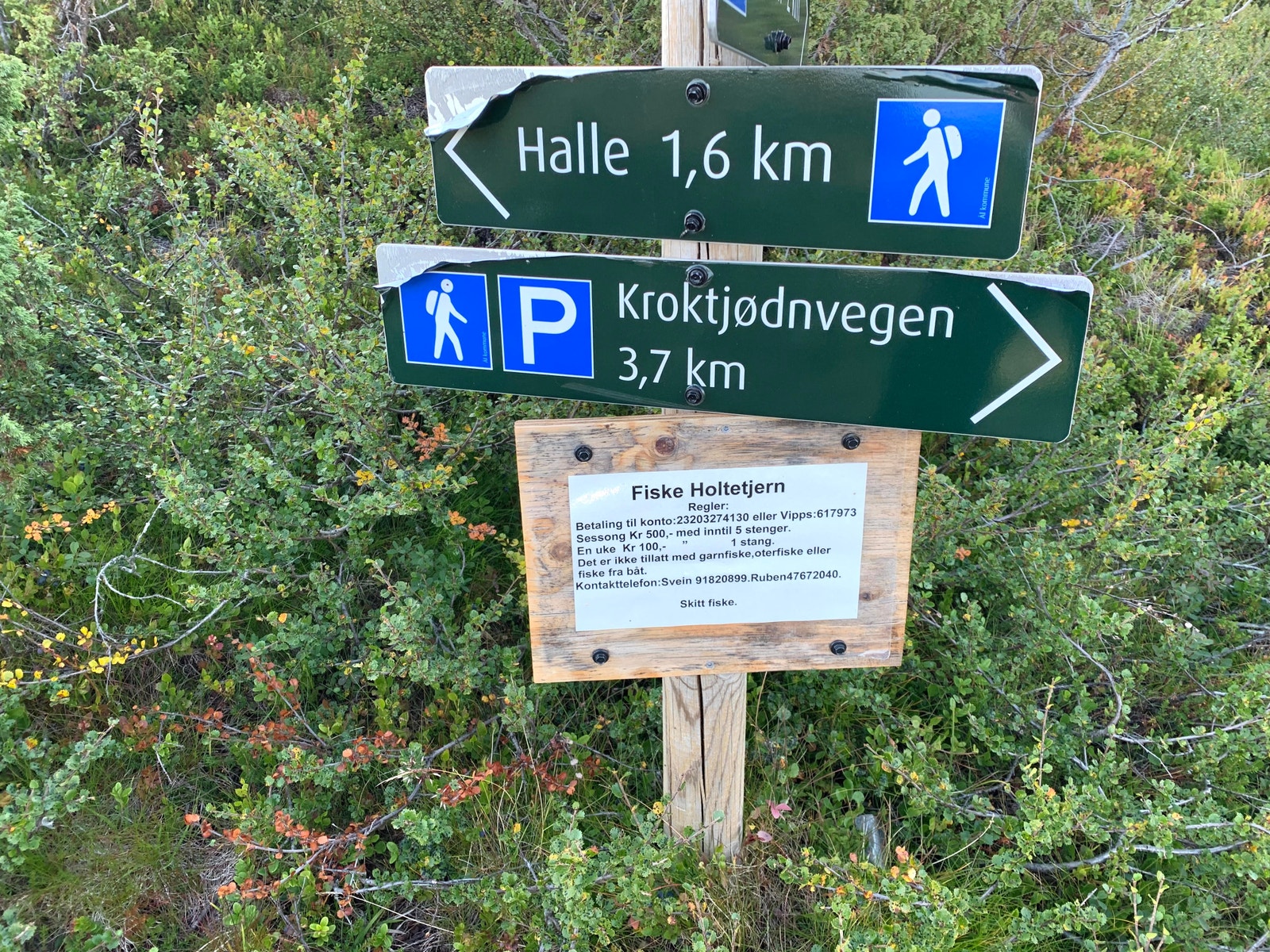 Godt merka turstier i fjellet Galleribilde