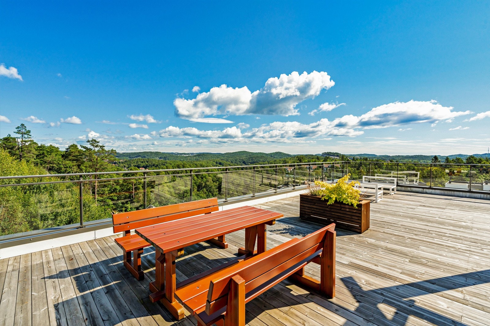 Takterrasse med flotte solforhold Galleribilde