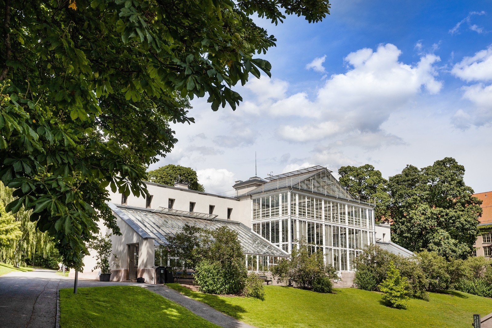 Botanisk hage er kun en kort spasertur unna. Perfekt for søndagsturen. Galleribilde