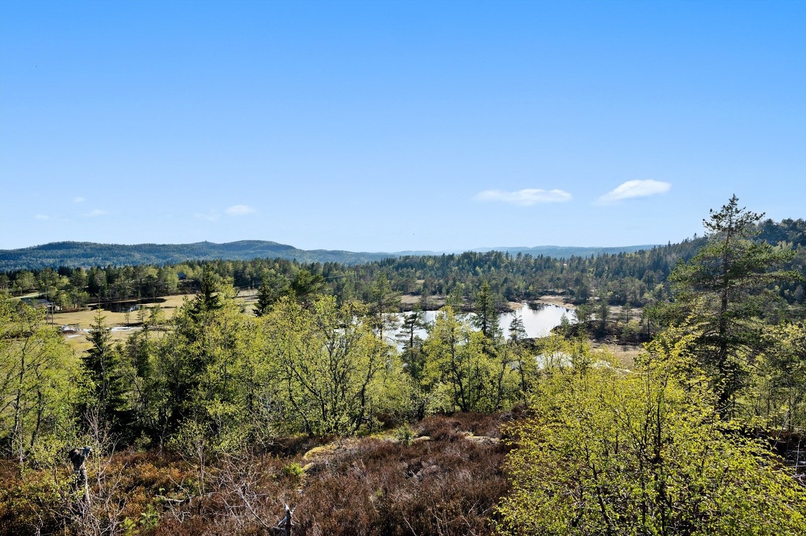 Flott utsikt og gode solforhold Galleribilde