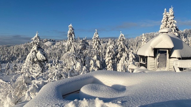 Vinterstemning 1.jpg Galleribilde