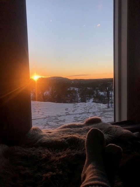 Vinterstemning.jpg Galleribilde