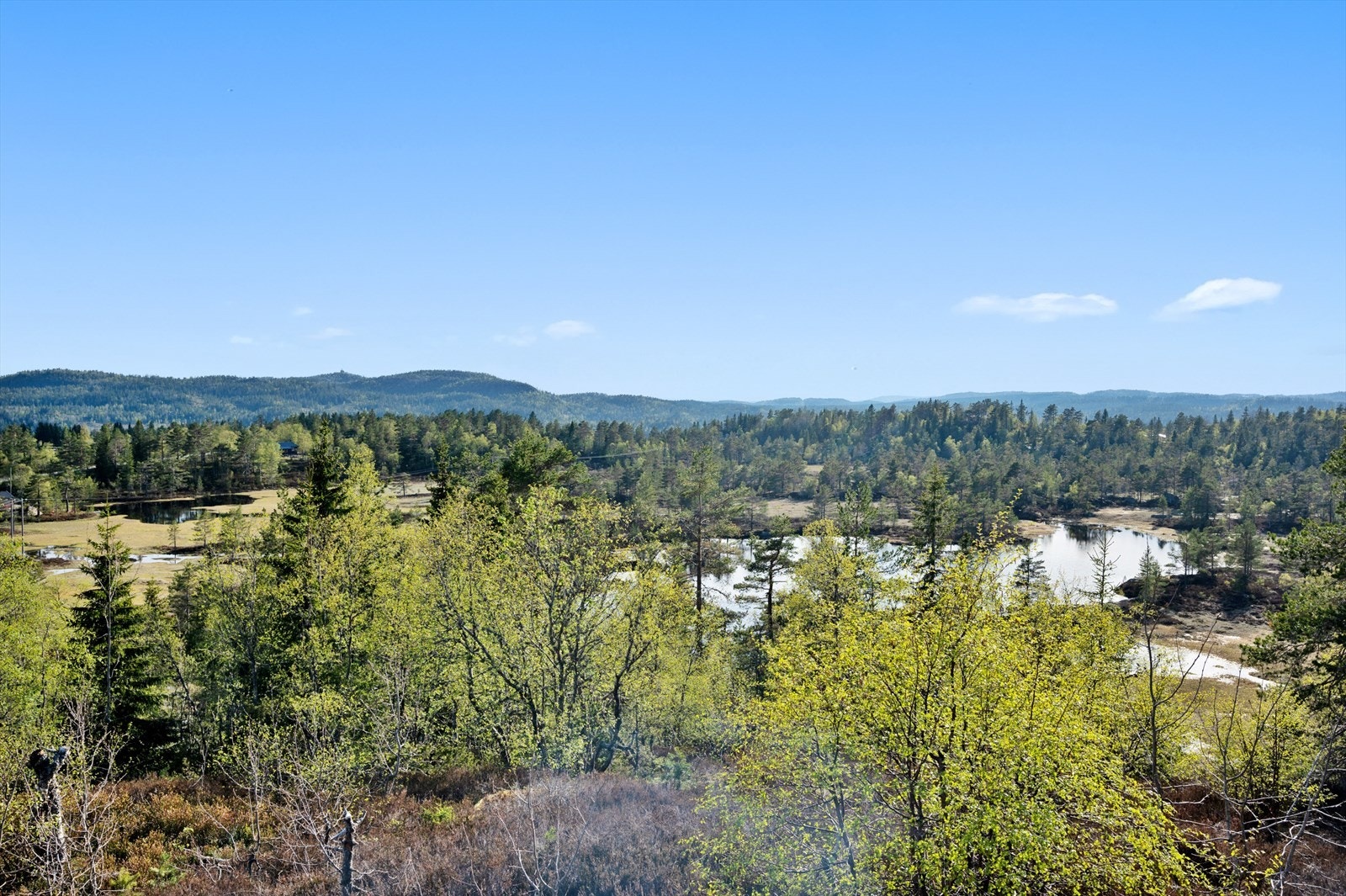 Flott utsikt fra terrassen Galleribilde