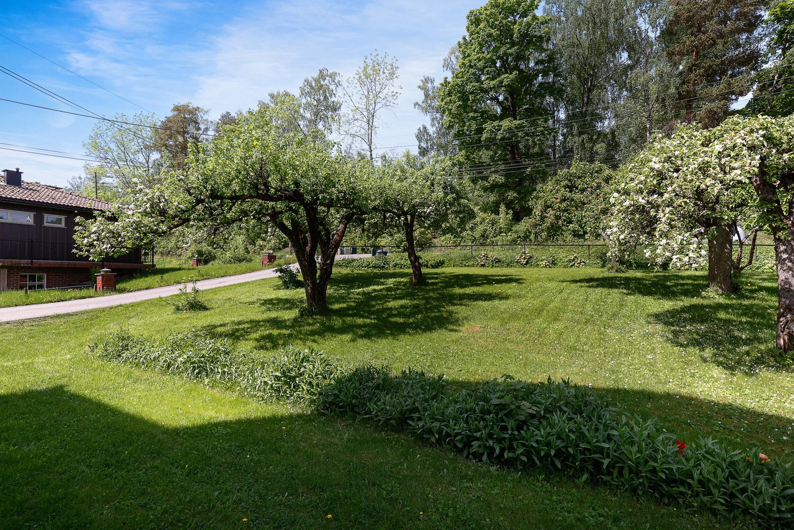 Pent opparbeidet hage. Galleribilde