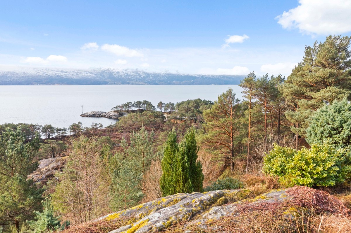 Fra boligen er det utsikt over Sognefjorden mot sør / vest Galleribilde