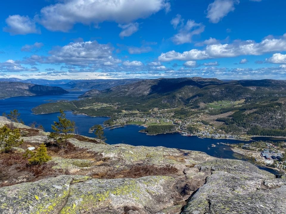 Skuggenatten Galleribilde