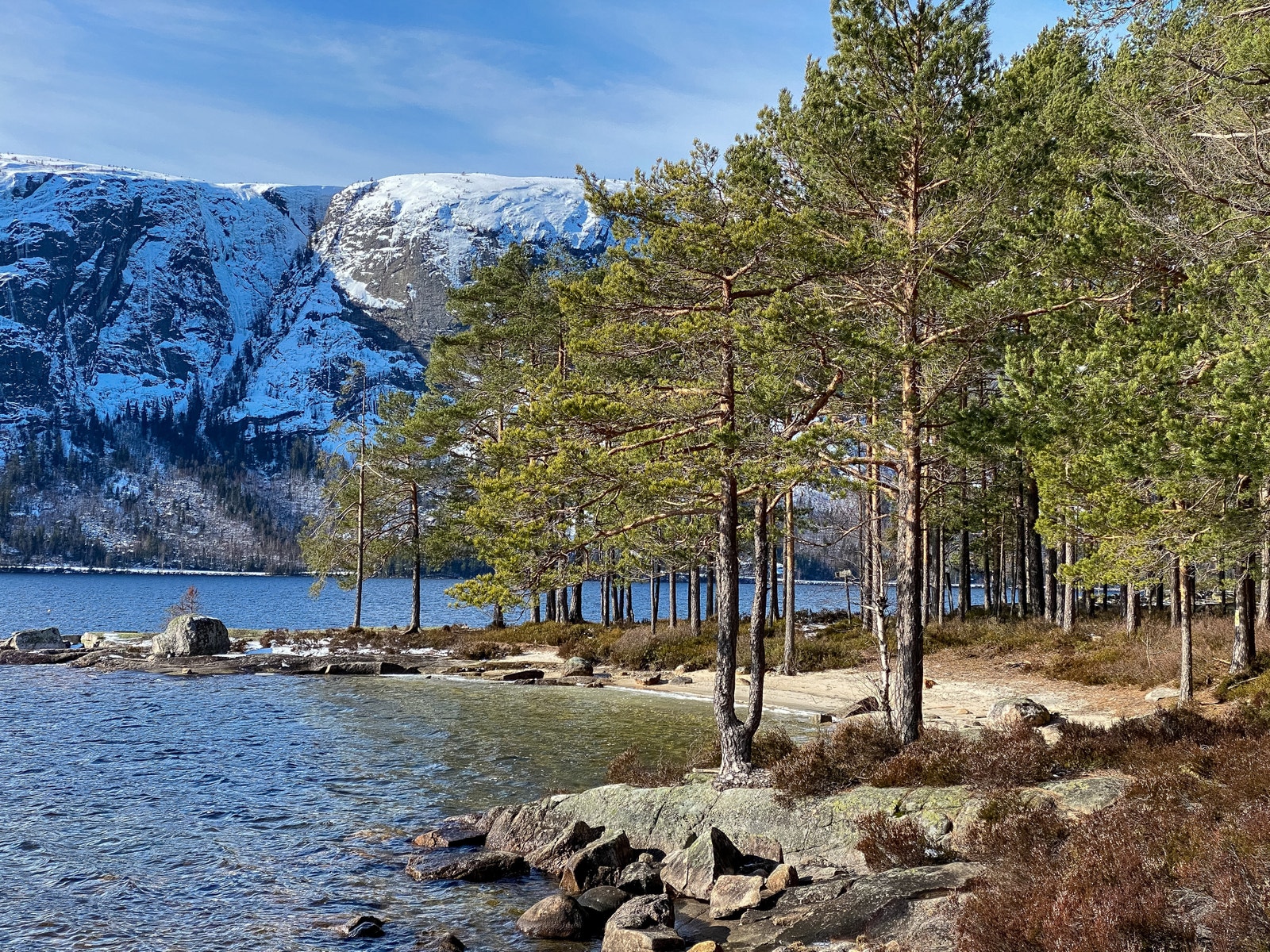 Nærområde Galleribilde