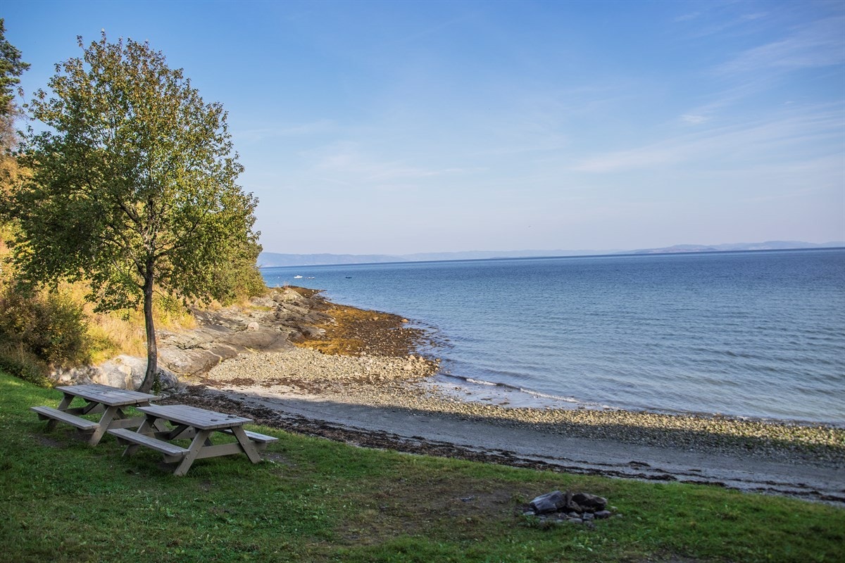 Ladestien er en av de mest kjente turstiene i Trondheim, med sine 8 km som ligger like ved sjøen Galleribilde
