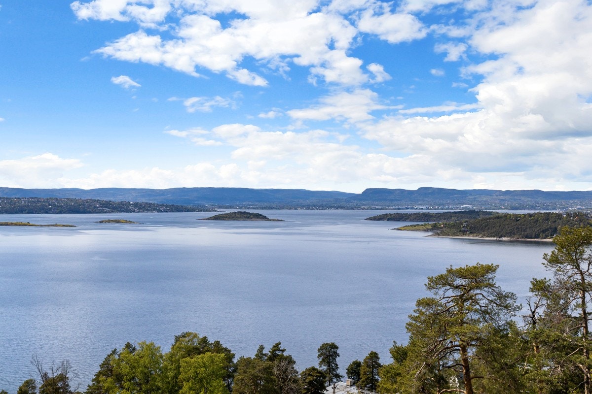 Utsikten fra anneks Galleribilde