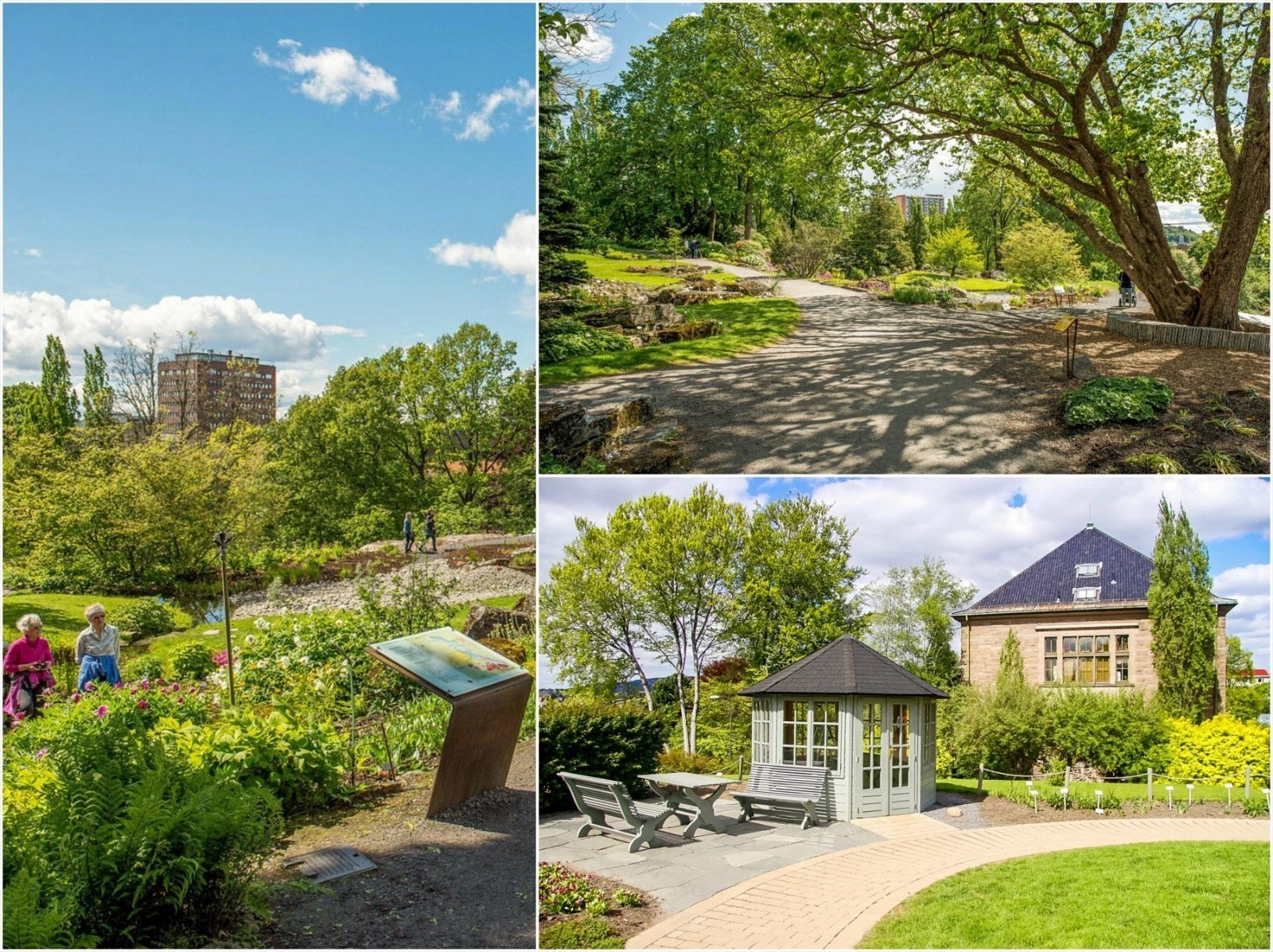 Botanisk hage på Tøyen. Galleribilde