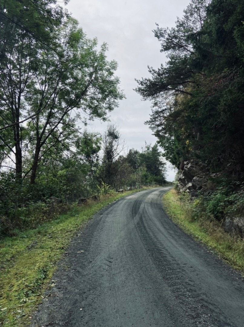 Område Galleribilde