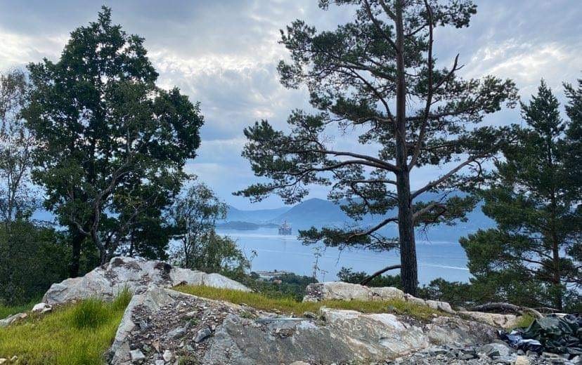 Tomten ligger høyt i terrenget med god utsikt Galleribilde