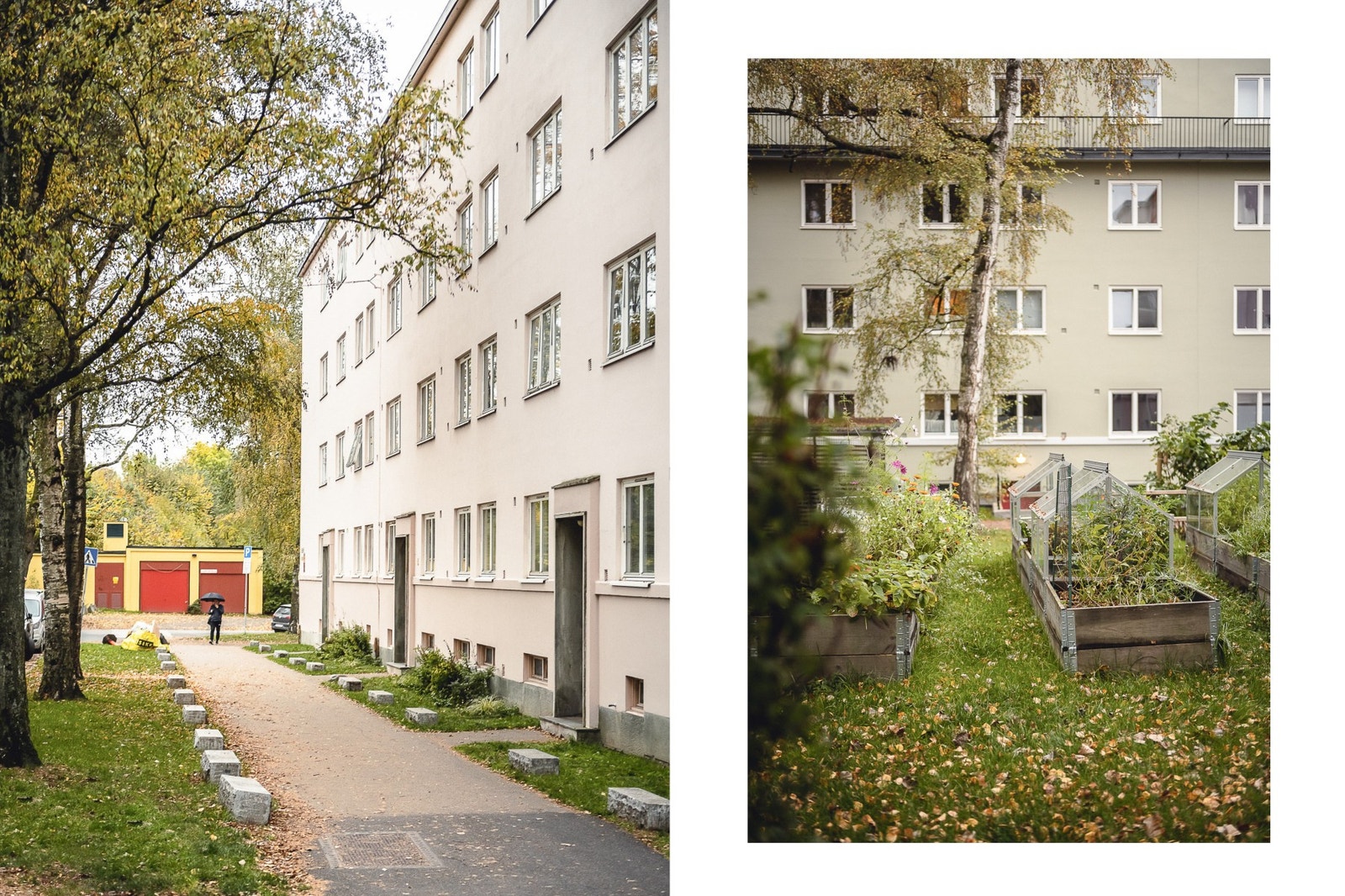 Hyggelig felles bakgård med frodig beplantning og plantekasser. Galleribilde
