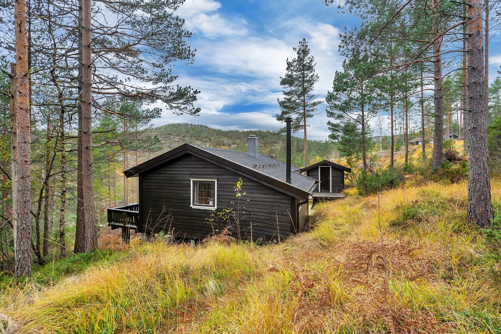 Hytte beliggende i natskjønne omgivelser på Bjørndalen Galleribilde