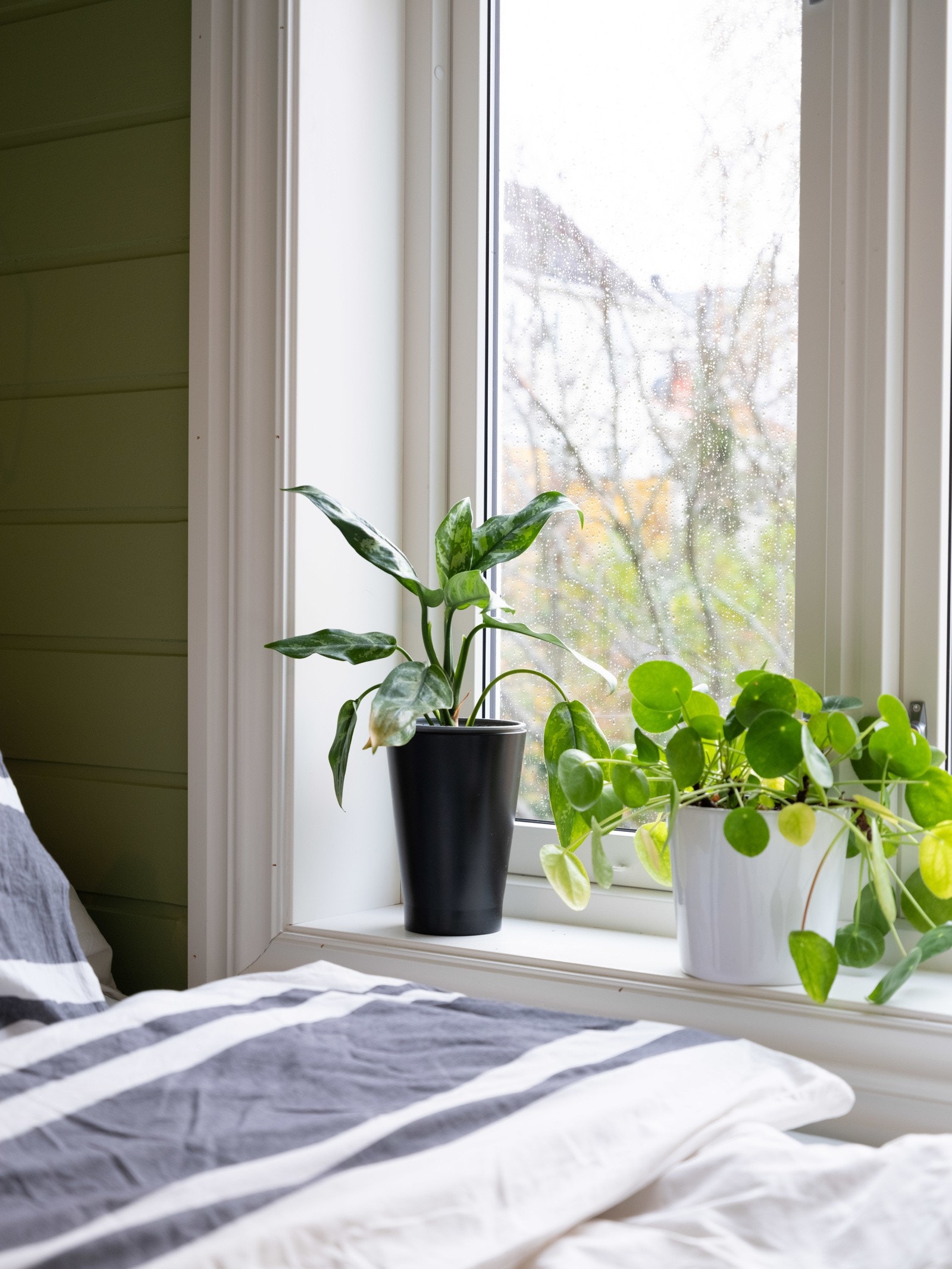 Proaktiv Eiendomsmegling - Soverommet vender mot den stille bakgården. Galleribilde