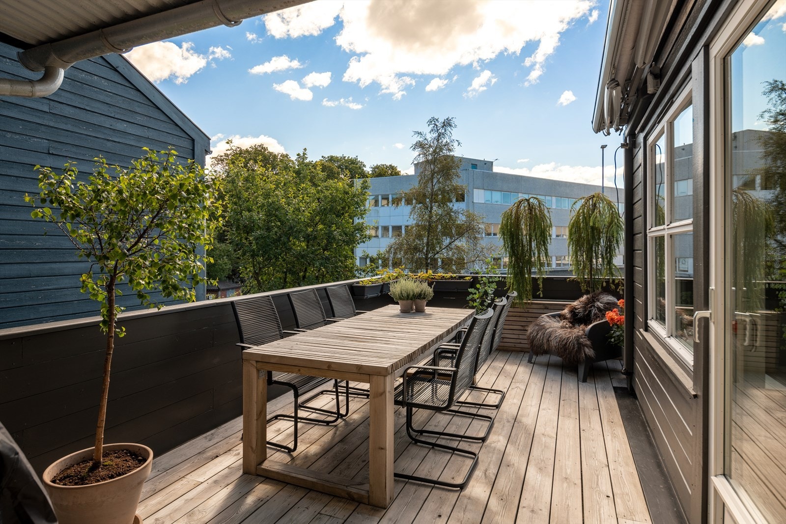 Romslig terrasse med gode solforhold Galleribilde
