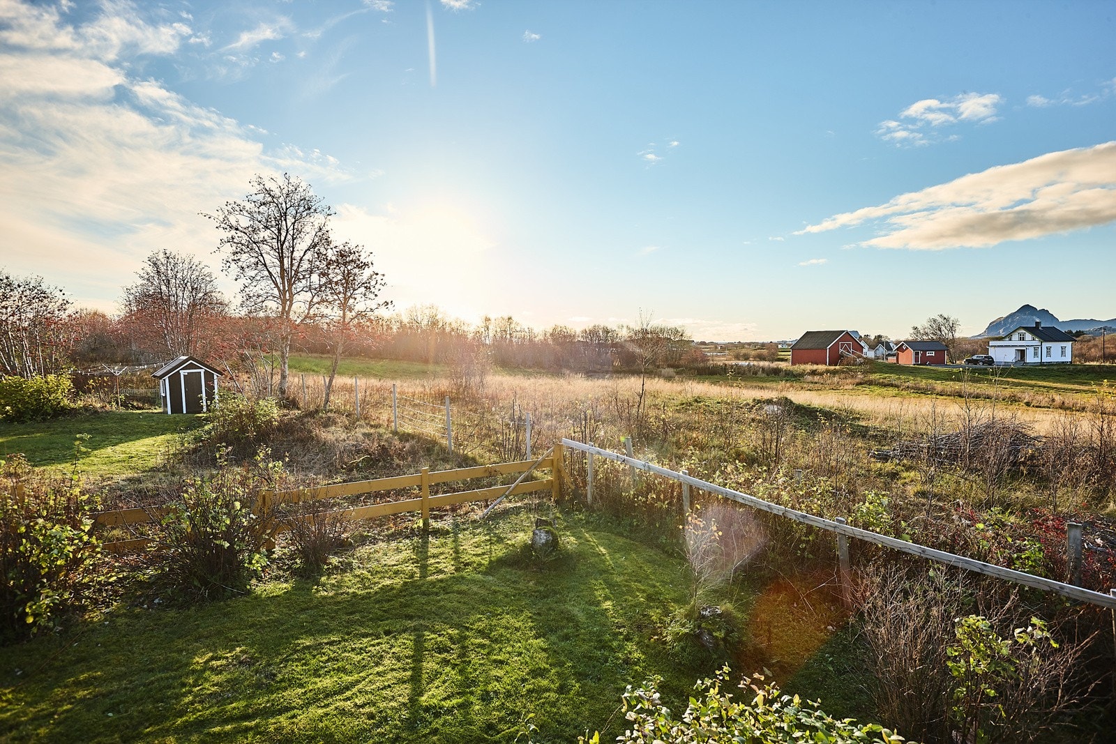 Fri utsikt Galleribilde