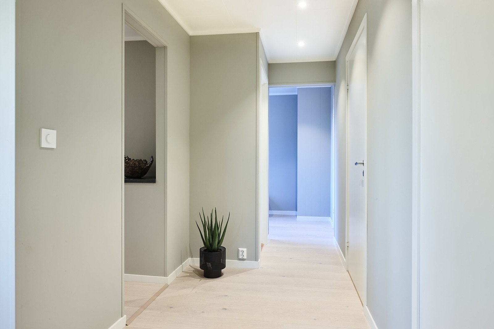 Innbydende gang i tiltalende overflater. Galleribilde