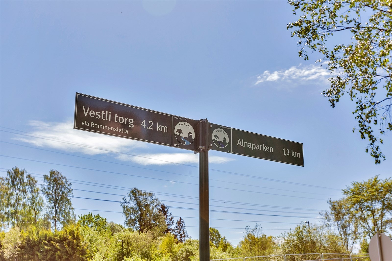 Områdebilde. Galleribilde