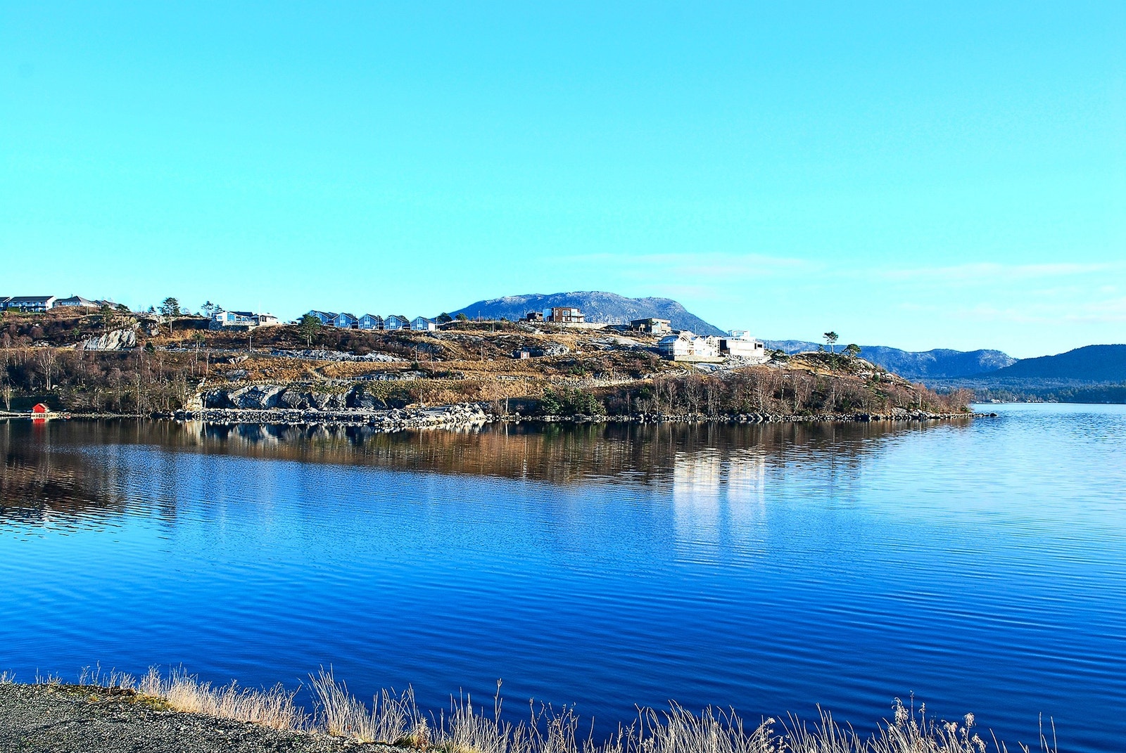Vikaneset i Skjold Galleribilde