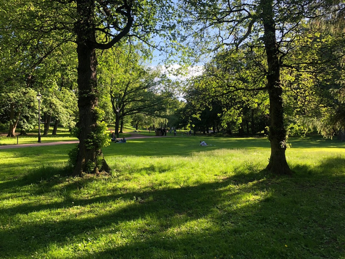 Områdebilde - Slottsparken ligger i umiddelbar nærhet. Galleribilde