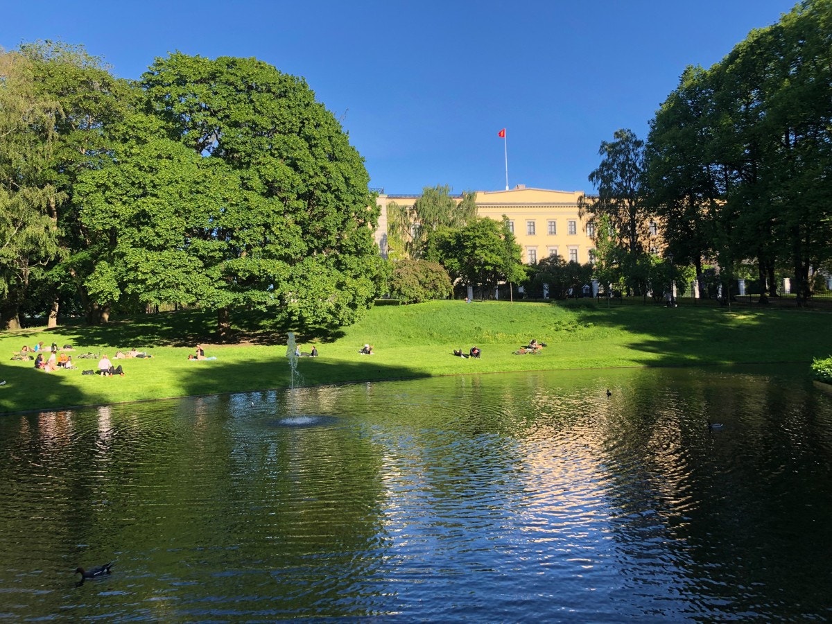 Områdebilde - Slottsparken ligger i umiddelbar nærhet. Galleribilde