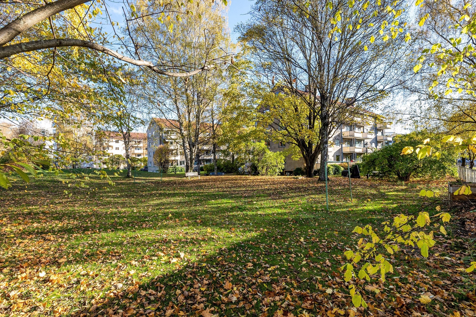 Fantastiske, grønne fellesarealer. Perfekt sted for å gå tur med hunden eller leke med barna. Galleribilde