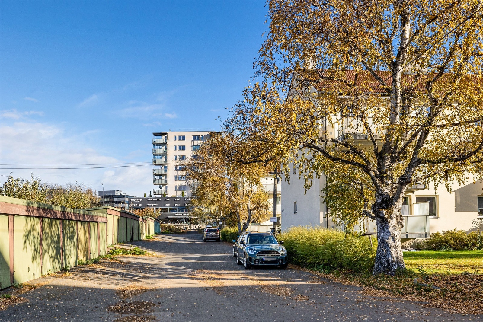 Grønt og tilbaketrukket. Galleribilde