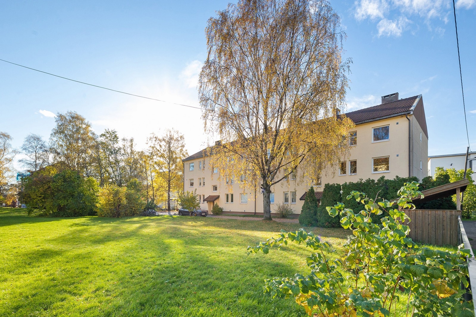 Grønt og tilbaketrukket på Hasle. Galleribilde