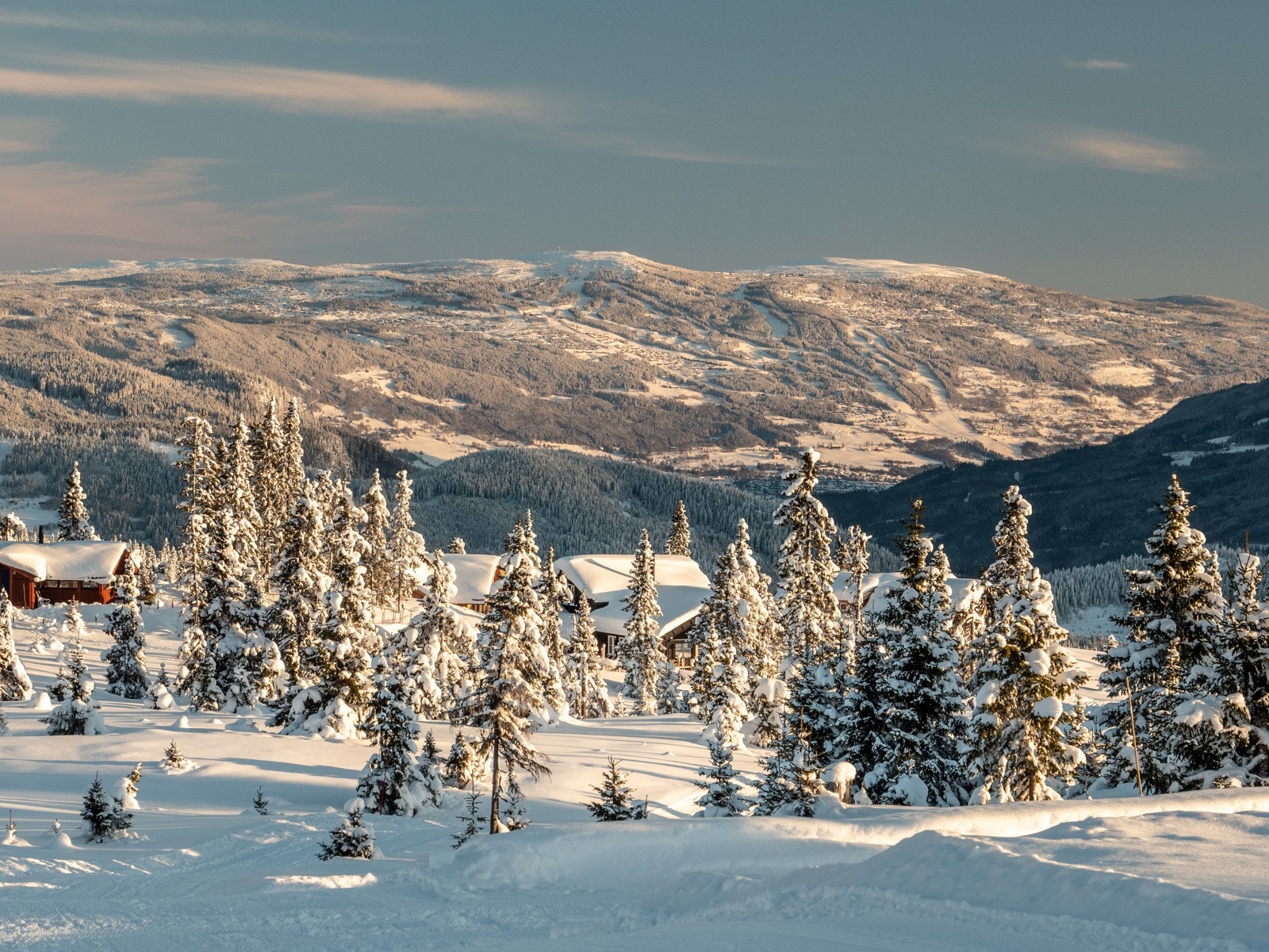 Er tiden inne for å bygge hyttedrømmen på Musdalsæter Hyttegrend? Galleribilde