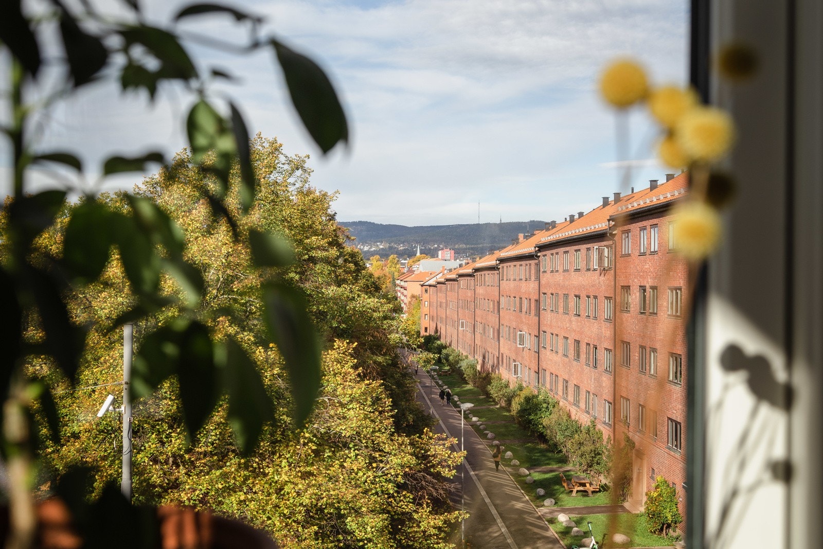 Solen går ned her på soveromssiden, og spektakulære solnedganger kan skimtes herfra. Galleribilde
