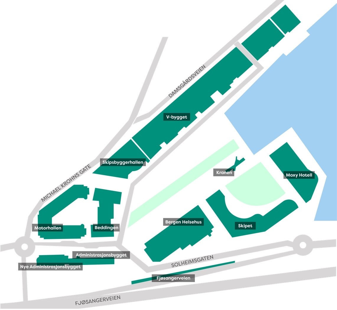 Oversikt over Solheimsviken Galleribilde