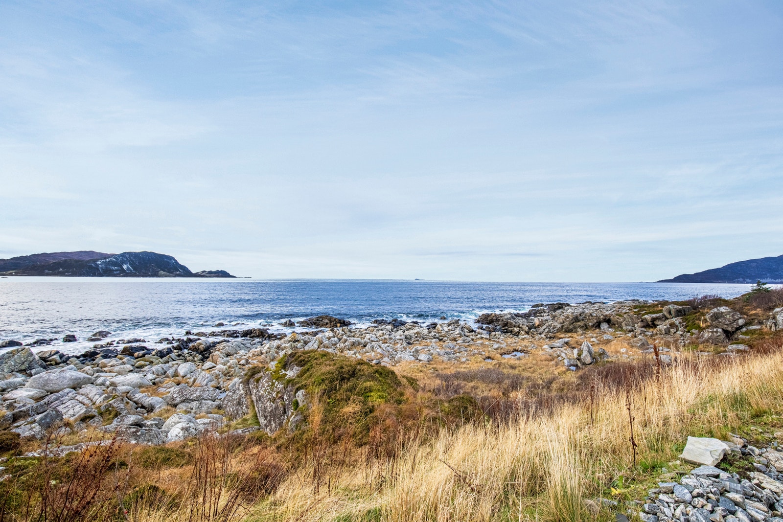 Utsikt. Galleribilde