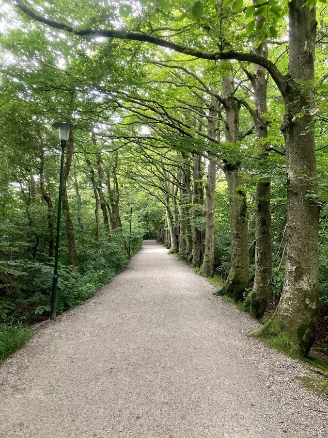 Turområde rundt Mosvannet i nærheten Galleribilde