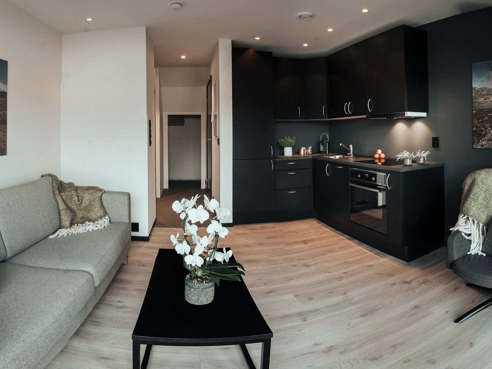 Stue kjøkken Galleribilde