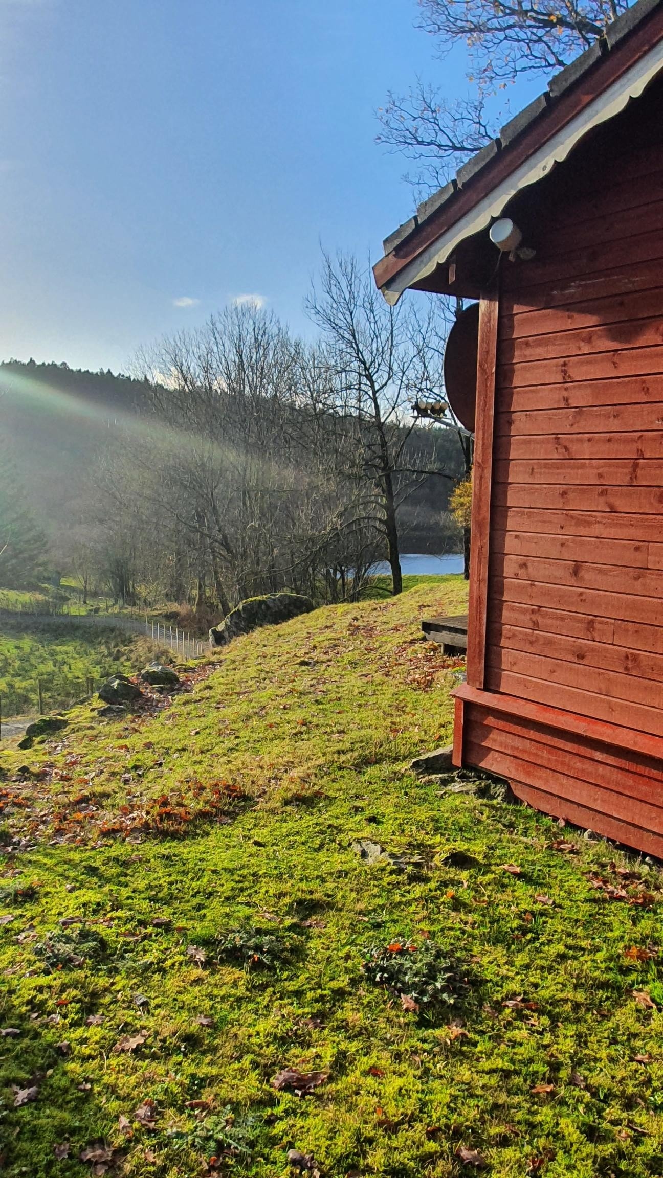 Utsikt mot sør Galleribilde