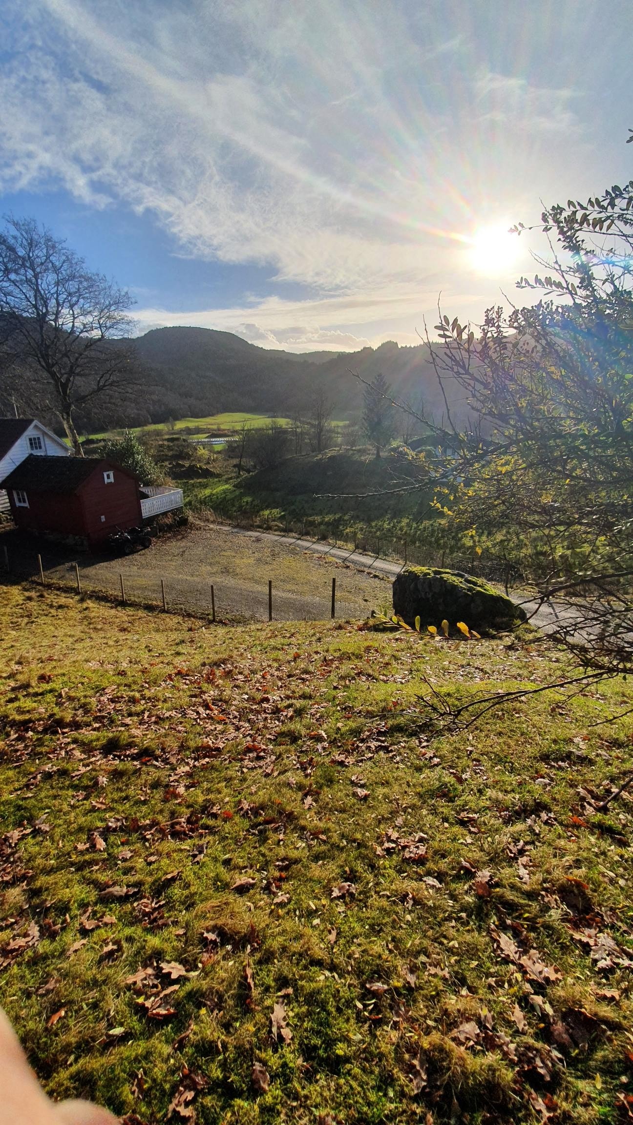 Fin utsikt Galleribilde