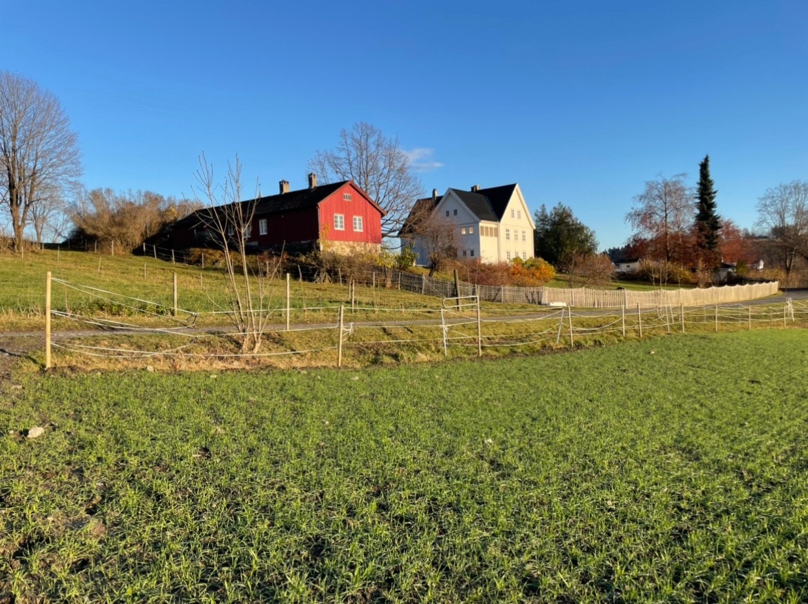 Gården. Galleribilde