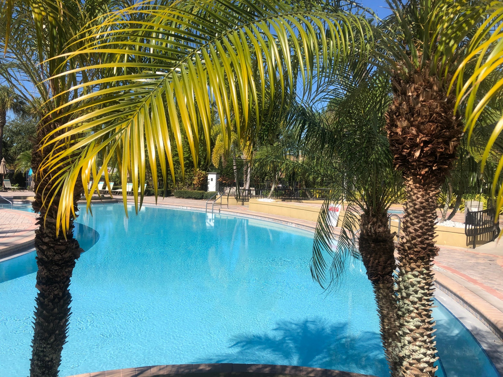 Bassengområdet The Reserve Galleribilde