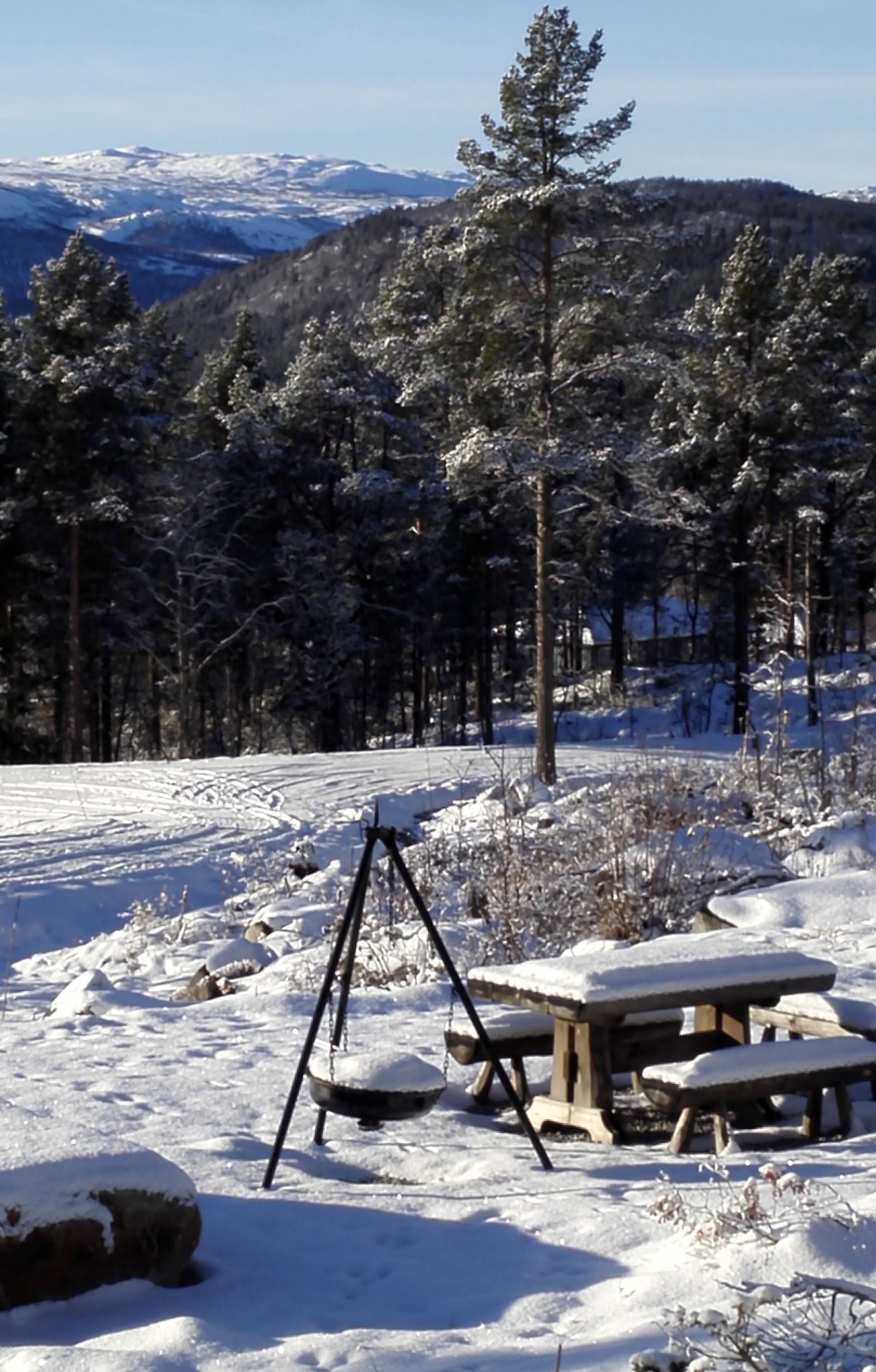 Flott utsikt til fjellet fra fellesområdet. Galleribilde