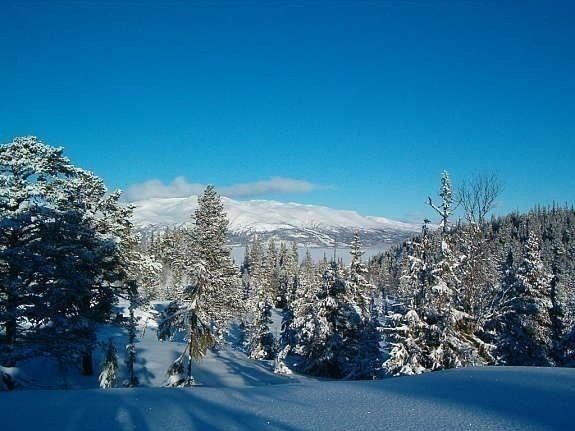 Raulandsfjell Galleribilde