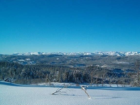 Langfjella Galleribilde