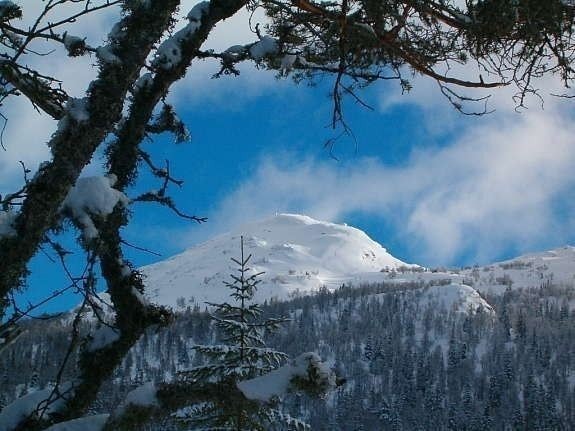 Åsheimnuten 1215 m.o.h. Galleribilde